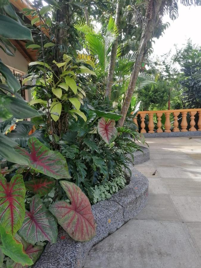 Ecohotel Otrolado Lodge Los Andes  Exterior foto